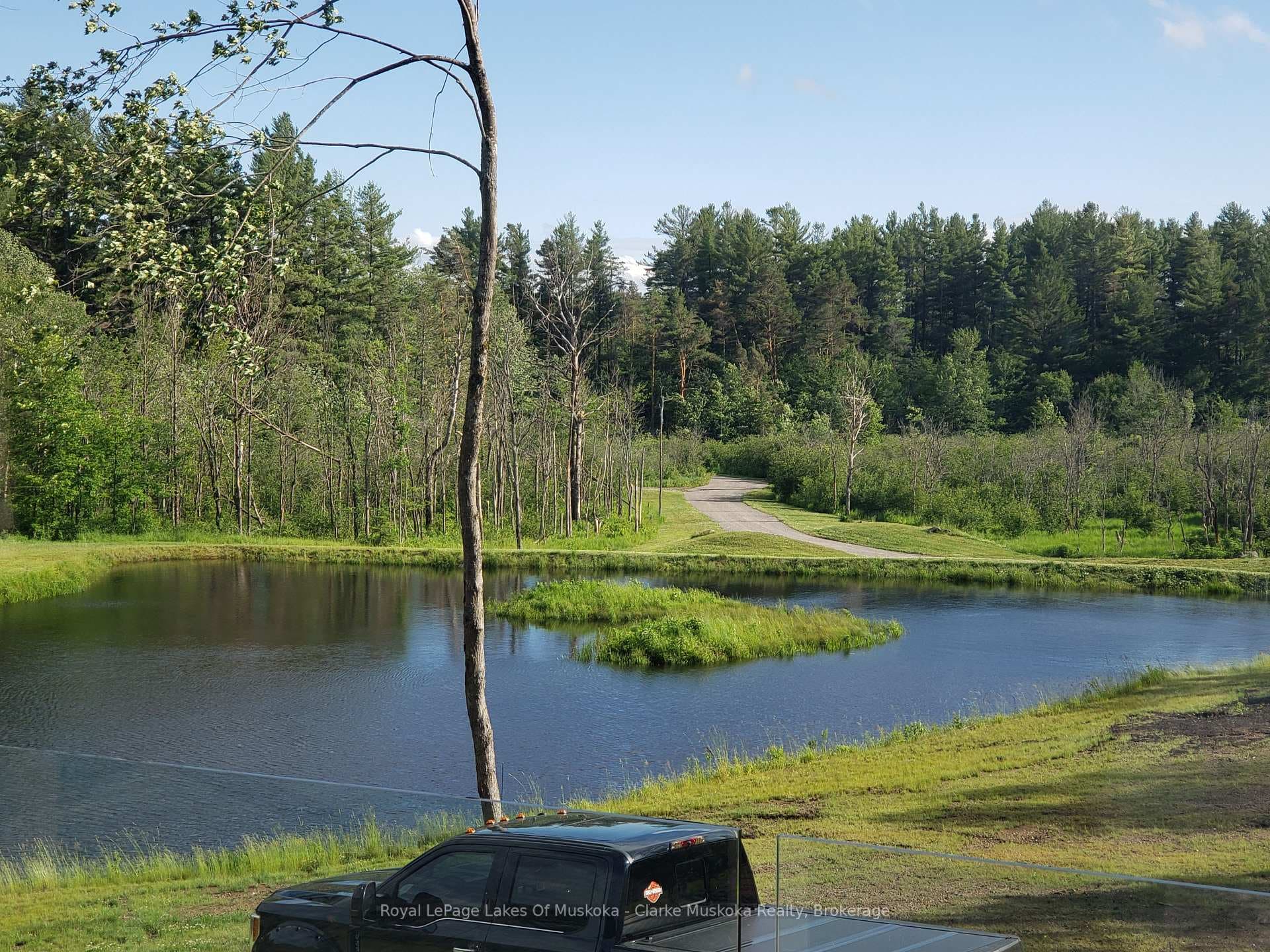Pond