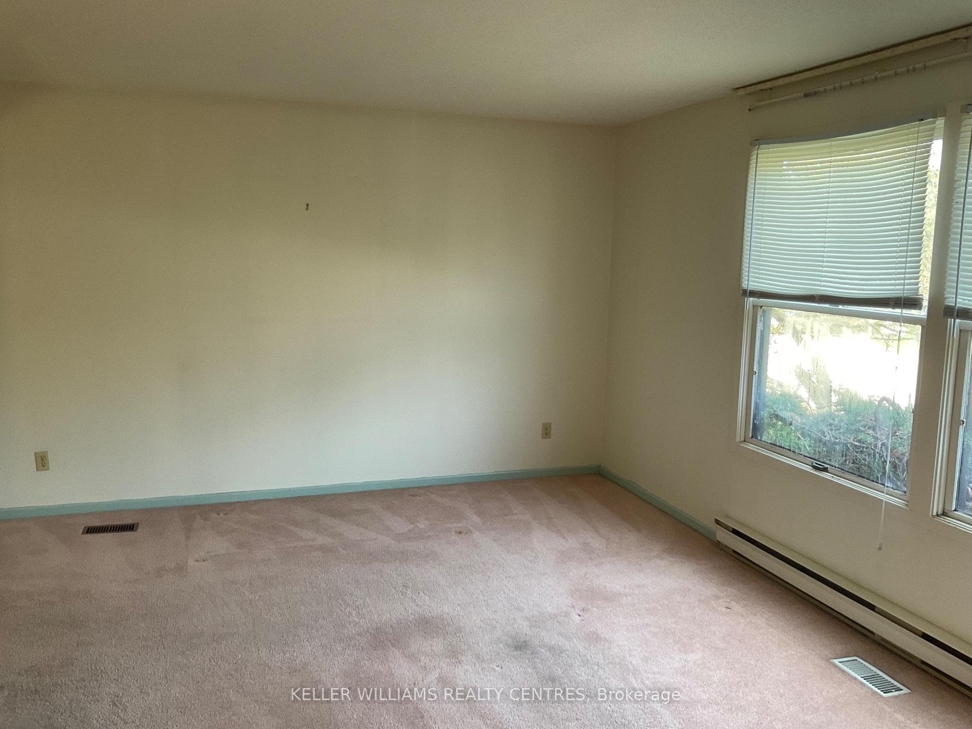 289 Waratah Avenue photo 10