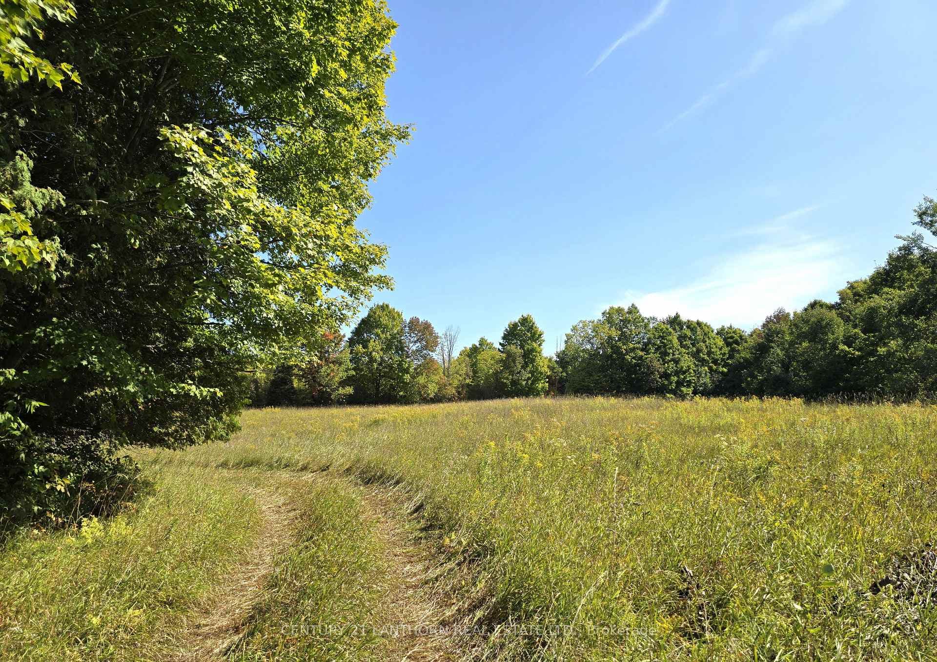 00 Morrison Road photo 39