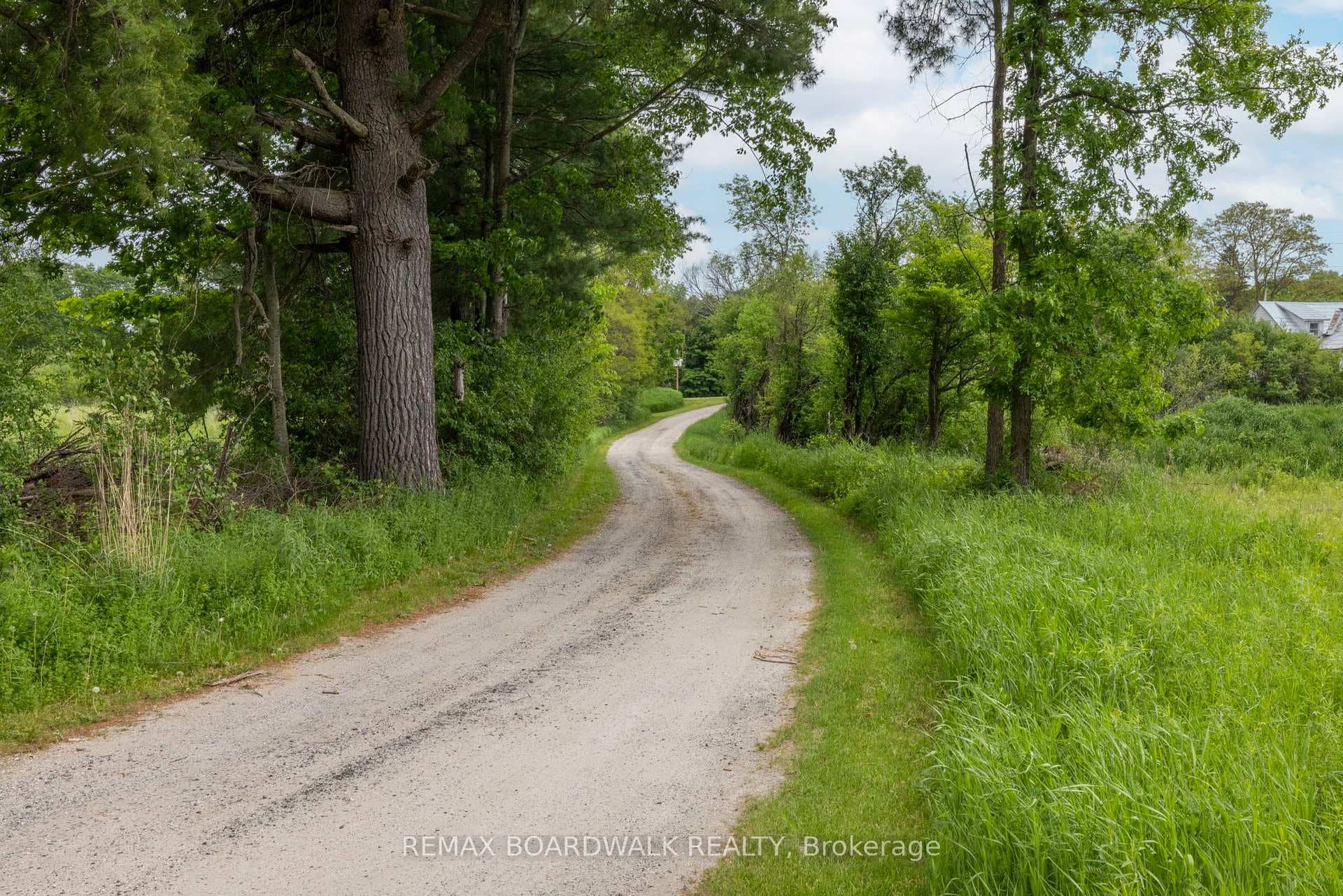Mill Rd