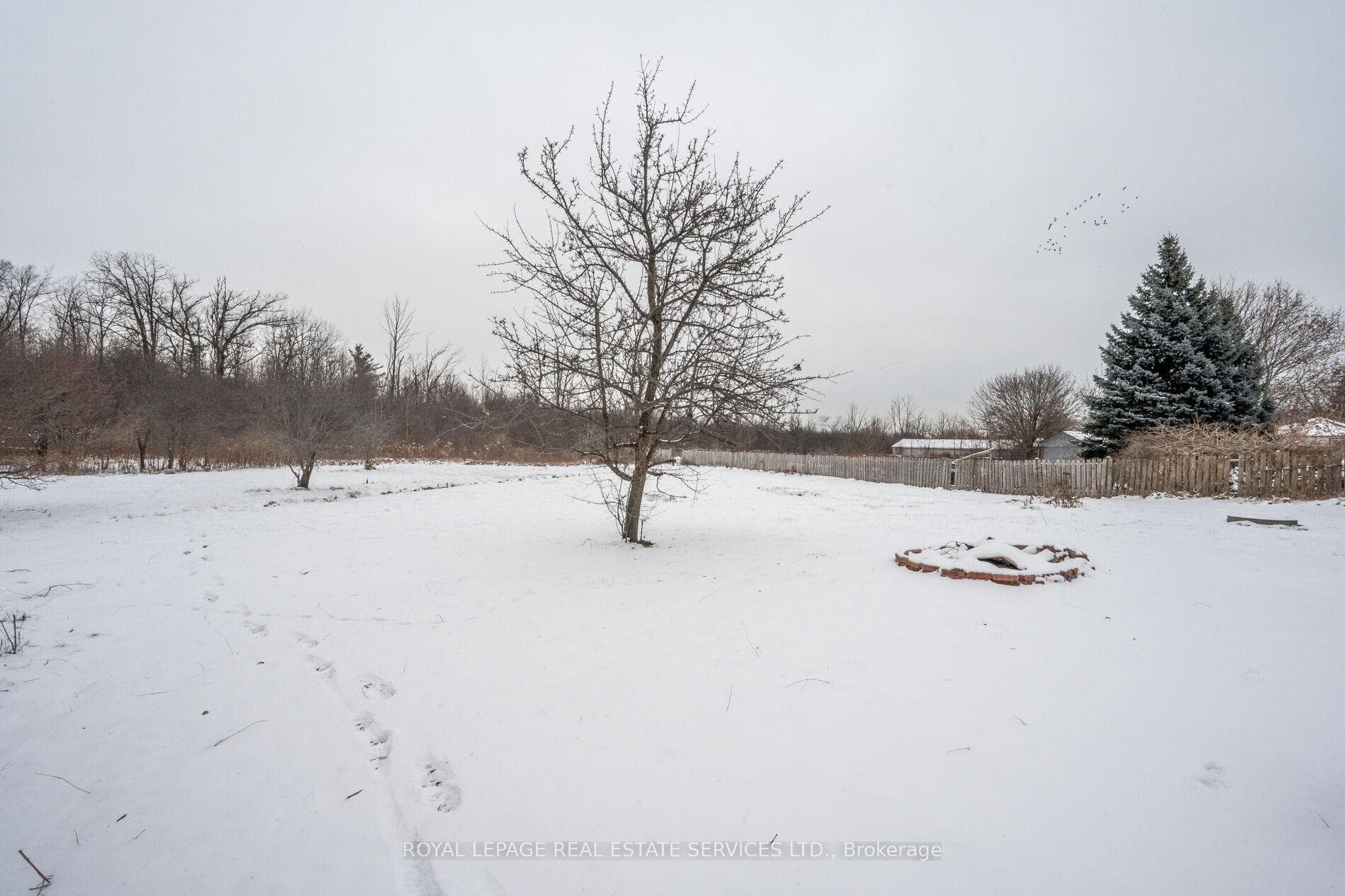 3209 Bronte Road photo 25