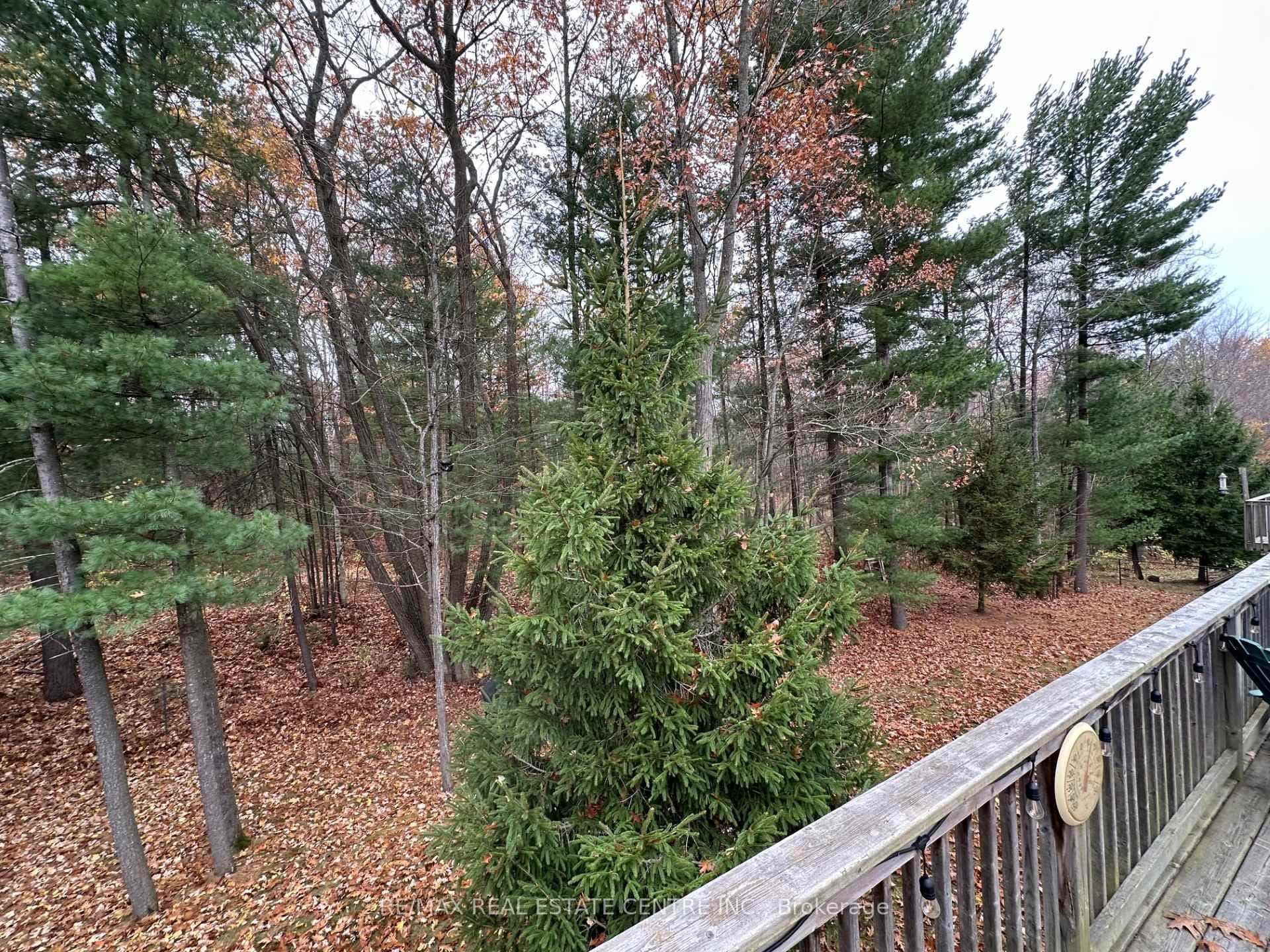 78 White Sands Way photo 2