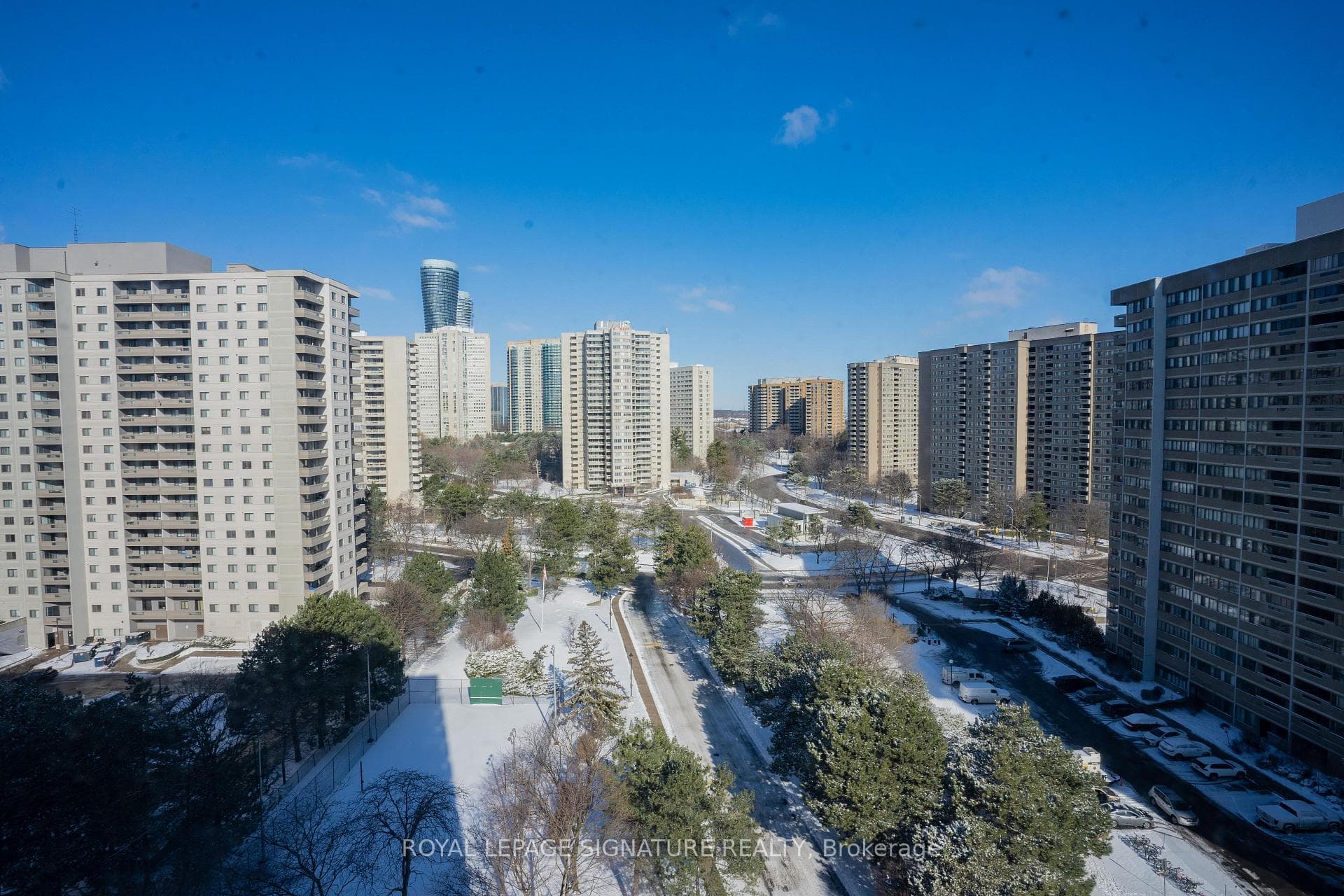 50 Elm Drive Unit 1212 photo 34