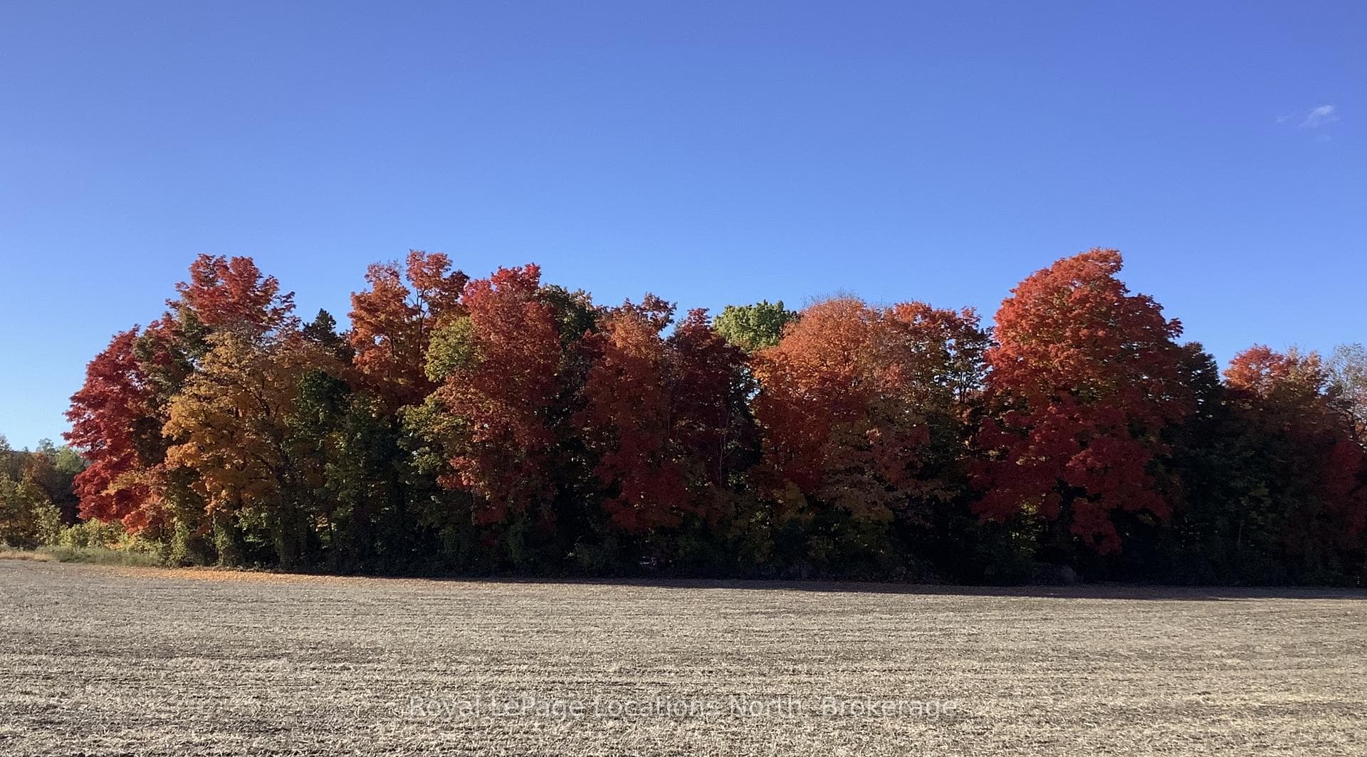 828999 Mulmur-Nottawasaga Townline photo 33