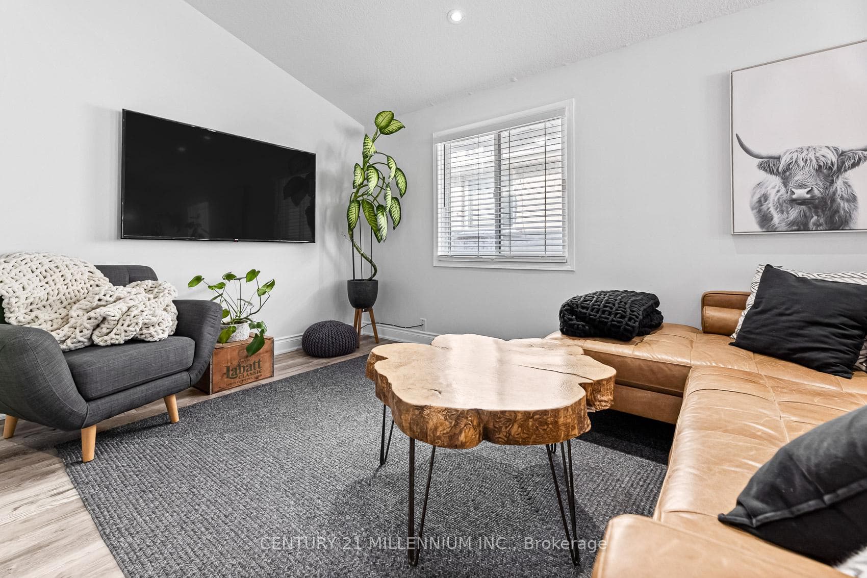 82 Orchid Crescent photo 15