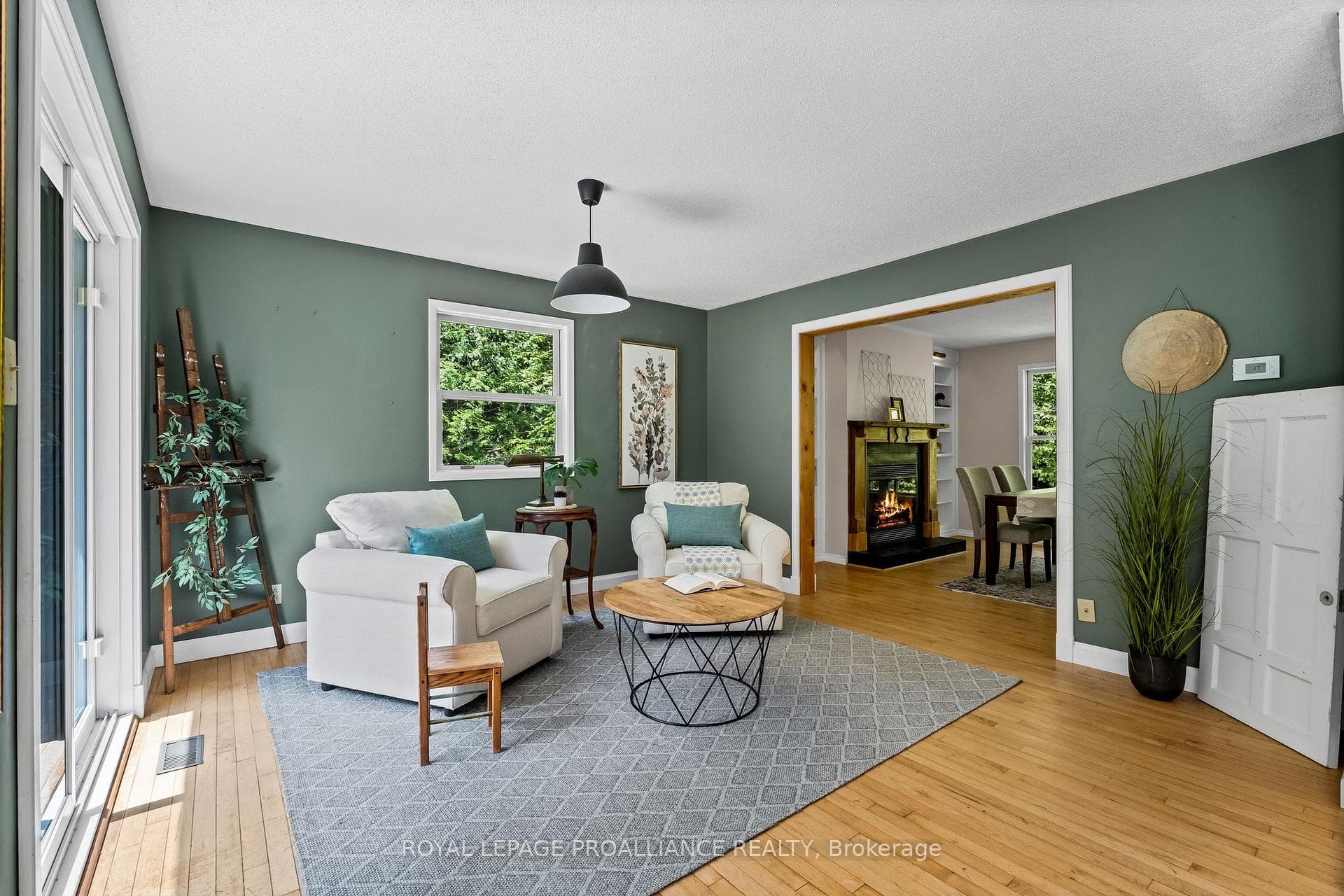 123 Pine Tree Lane photo 20