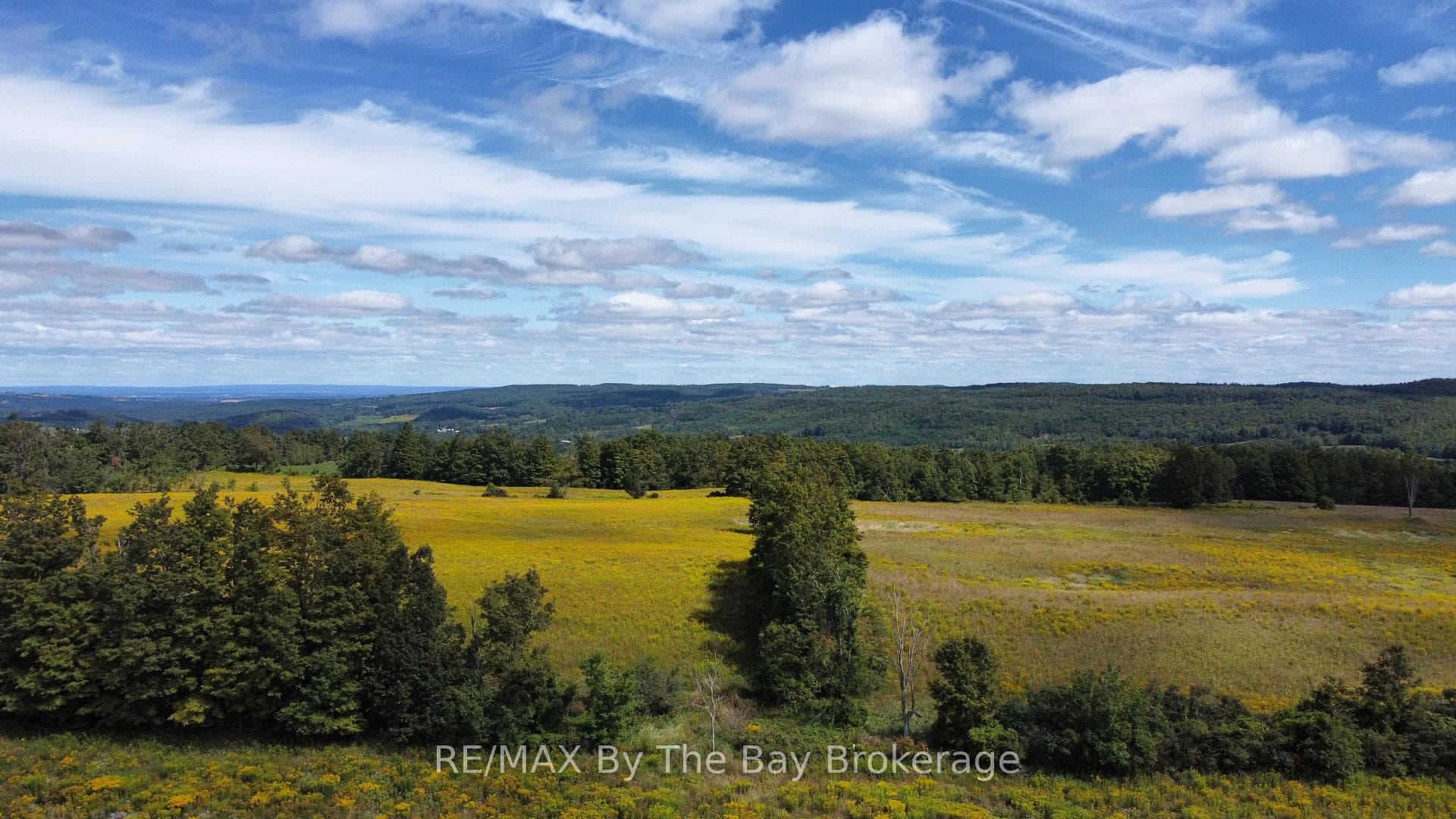 9878 County Road 9 Acres photo 4