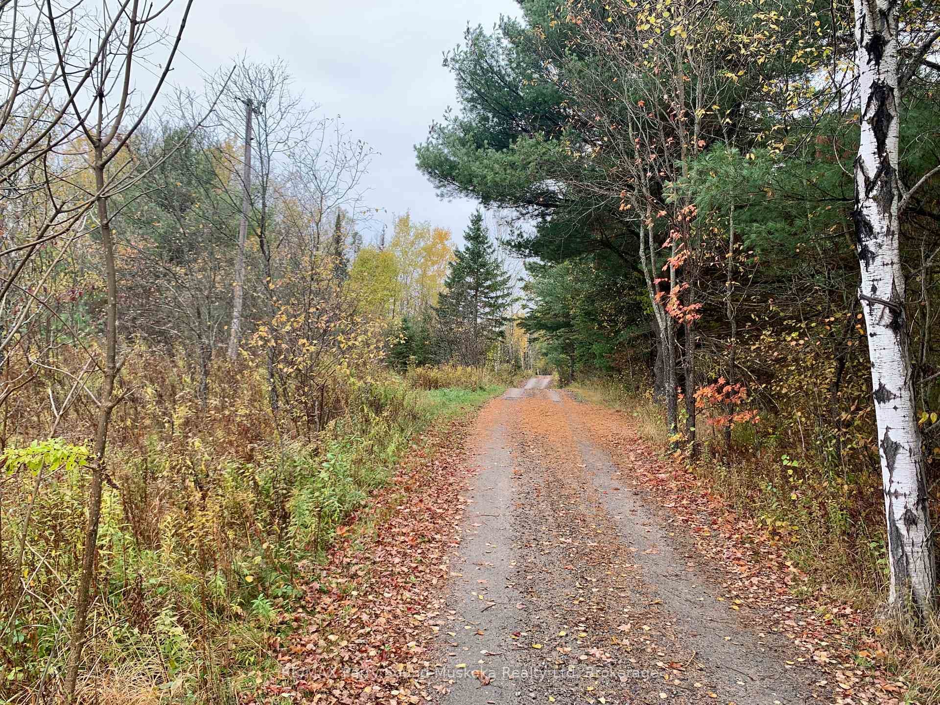 LOT 1B Unnamed road N/A photo 5