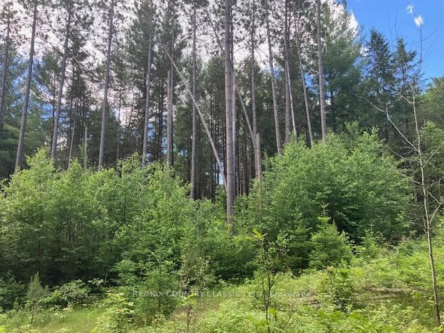 6732 County Road 620 N/A photo 14