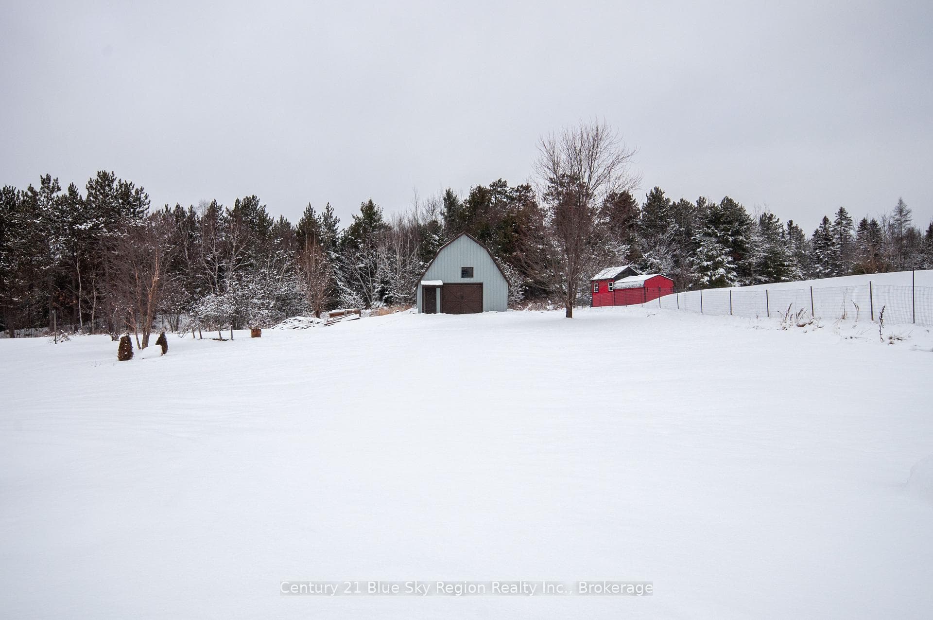 100 Bertha Road photo 24