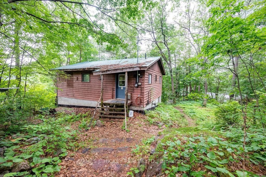 91 Bilsborrow Trail photo 17