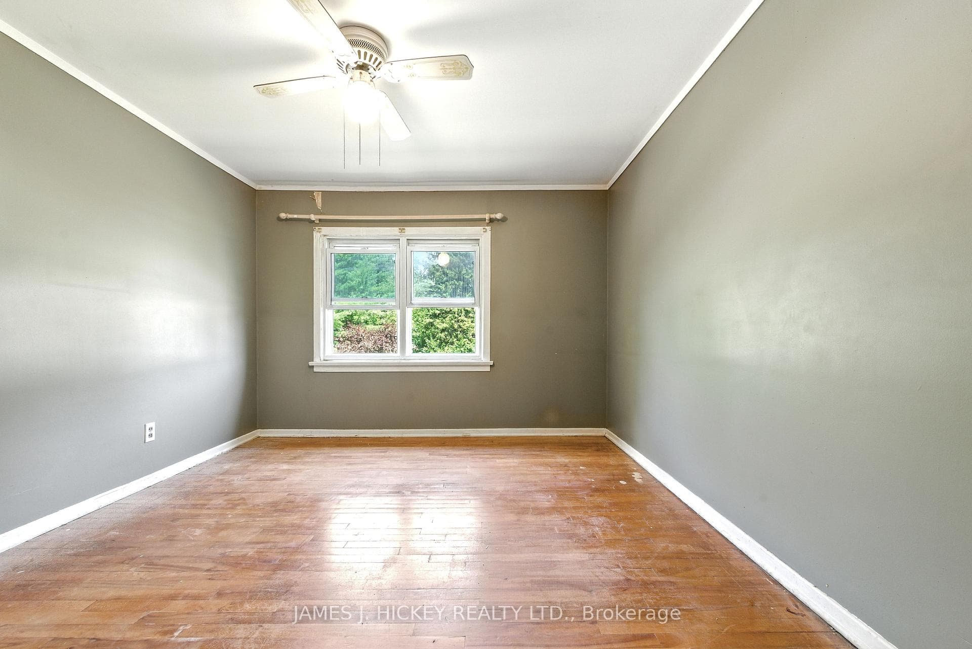 123 Algonquin Street photo 21