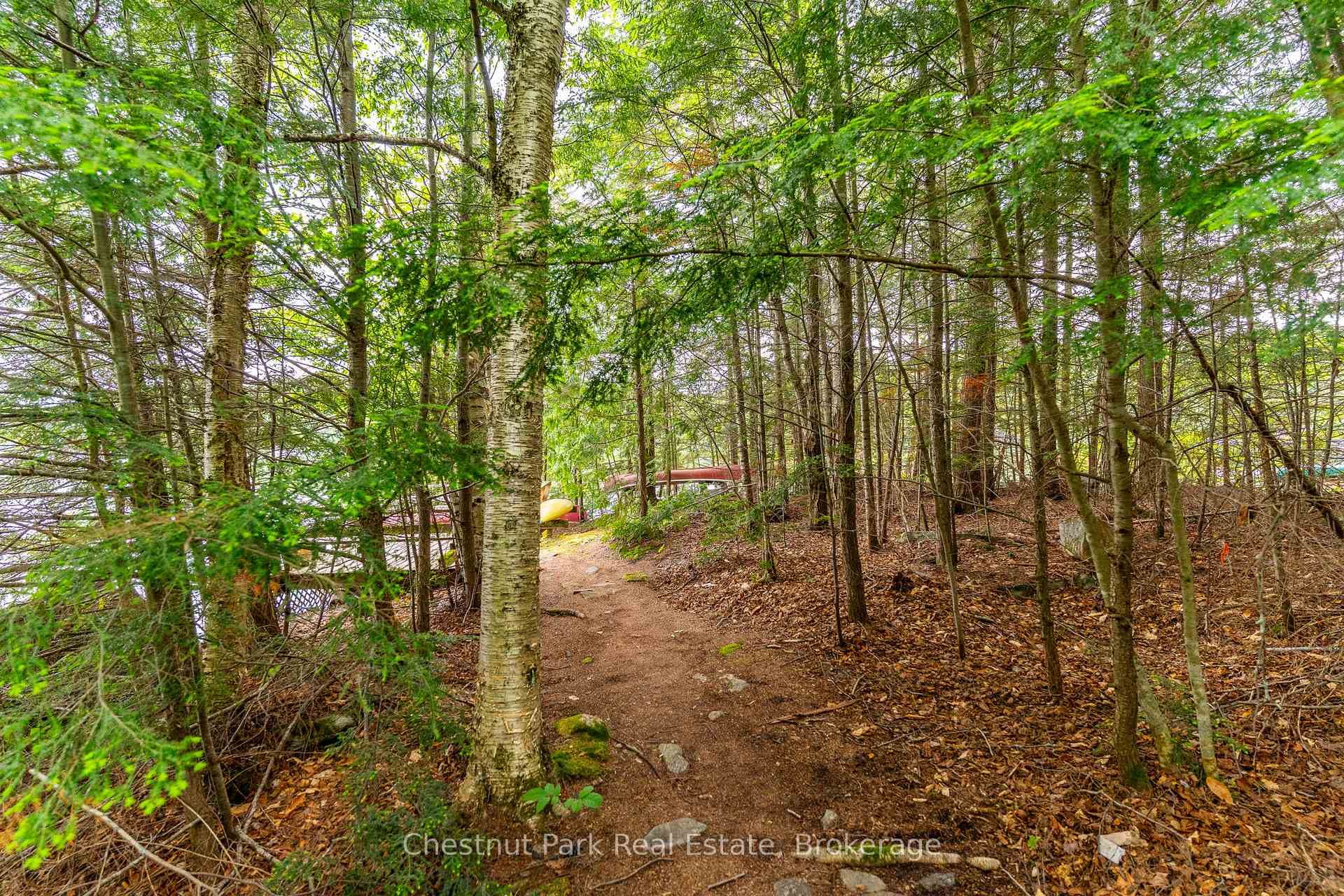 5278 Kennisis Lake Road photo 29