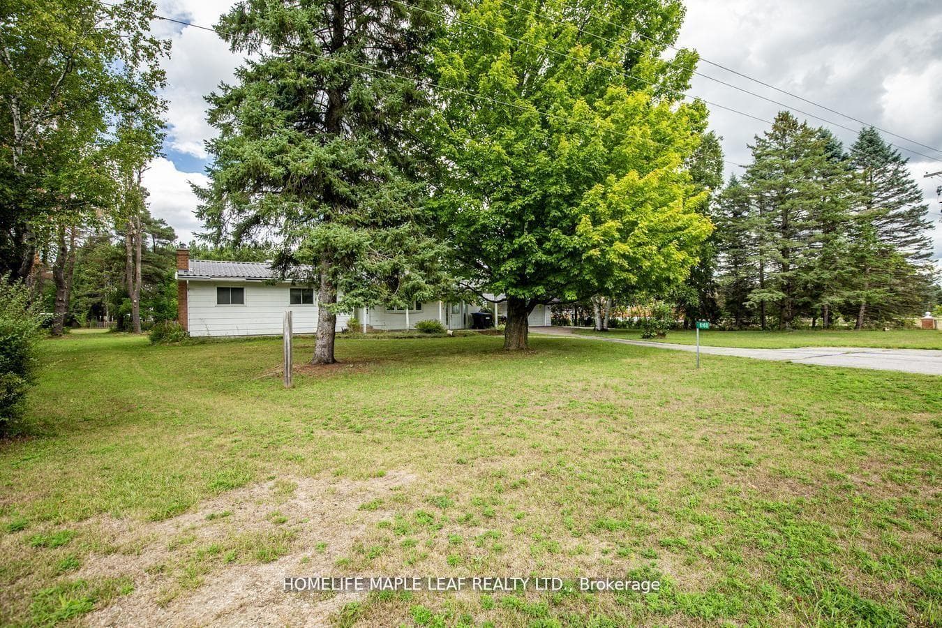 6168 County Road 9 N/A photo 5