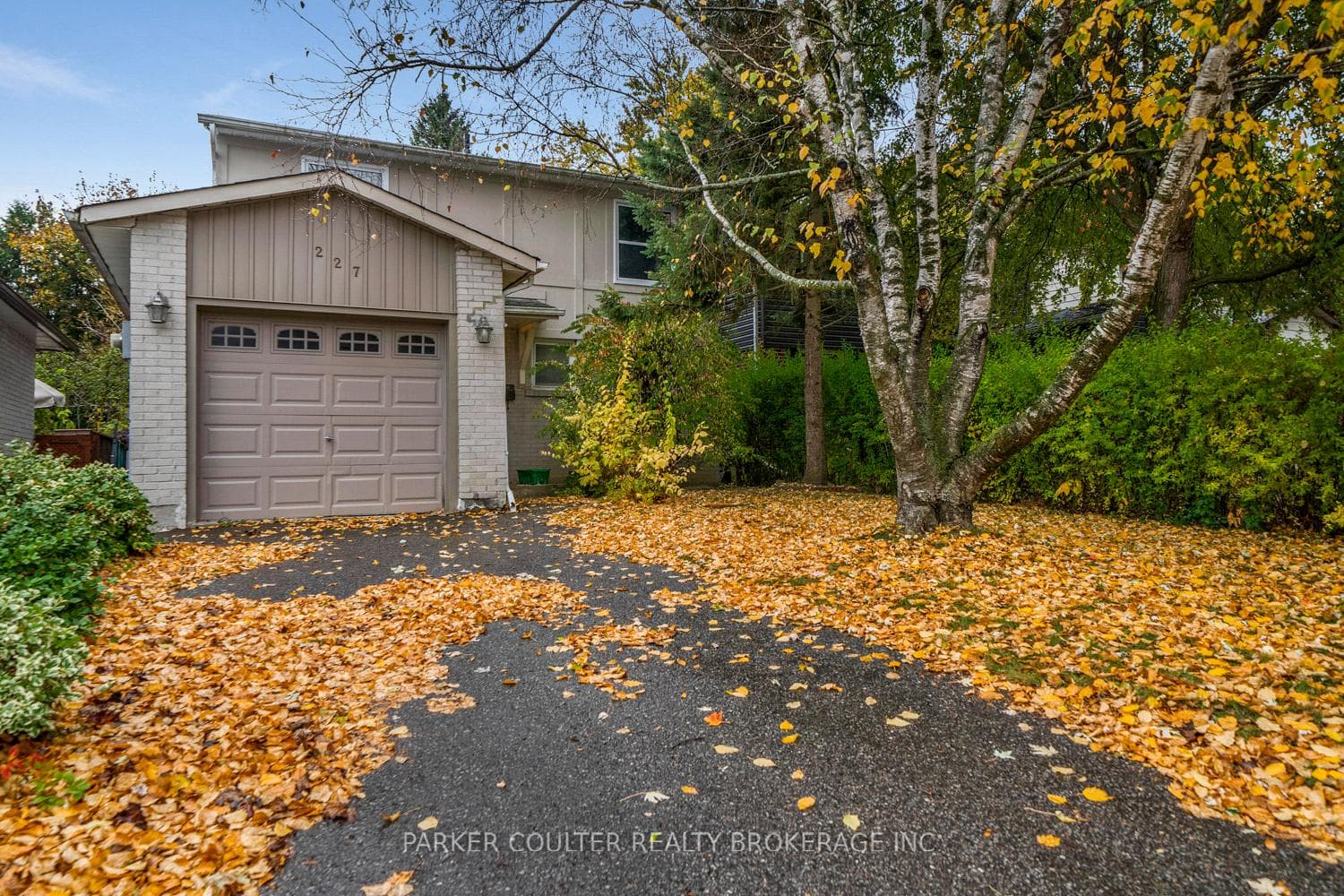 227 Thoms Crescent photo 4
