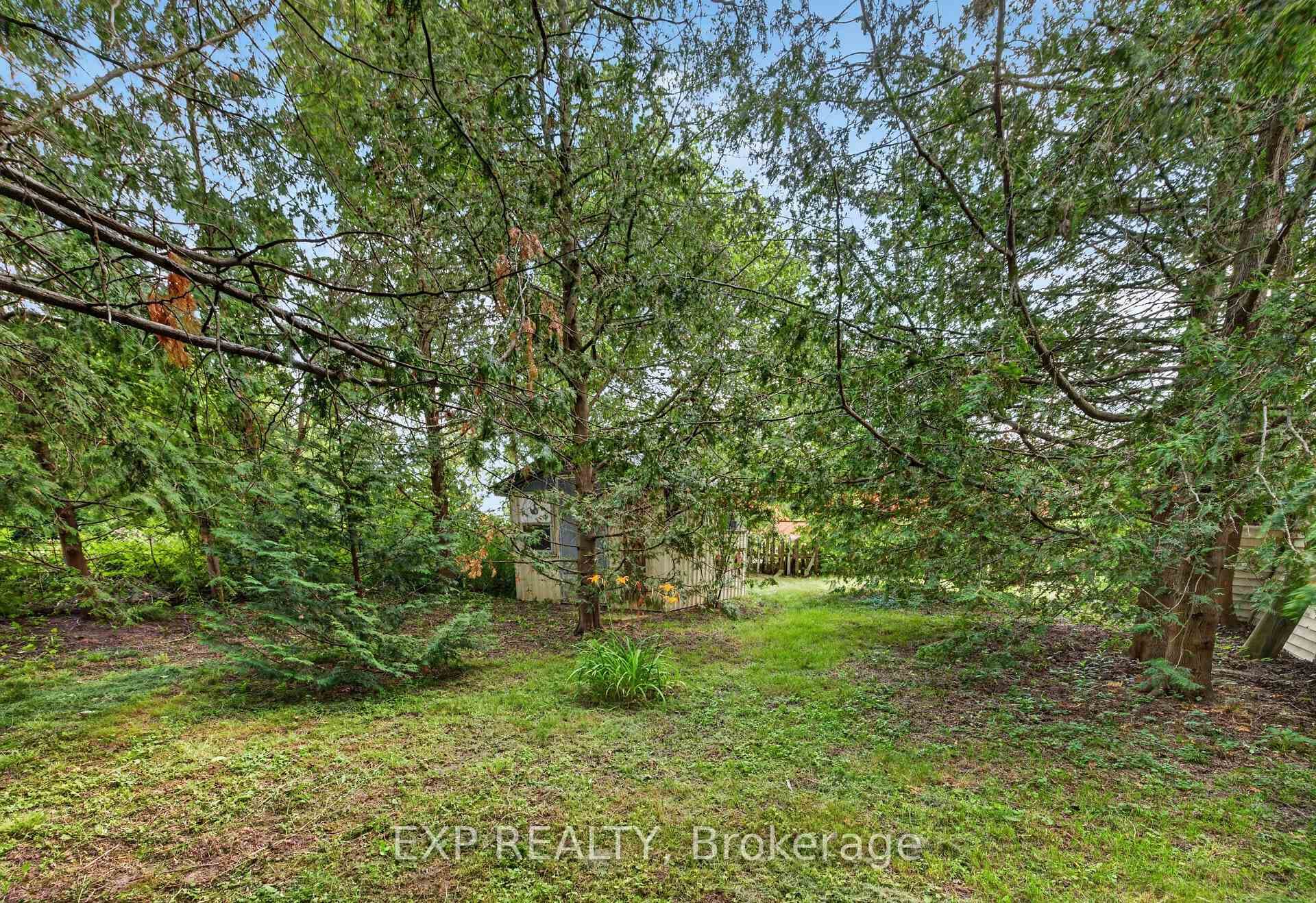 146 Whiting Street photo 30