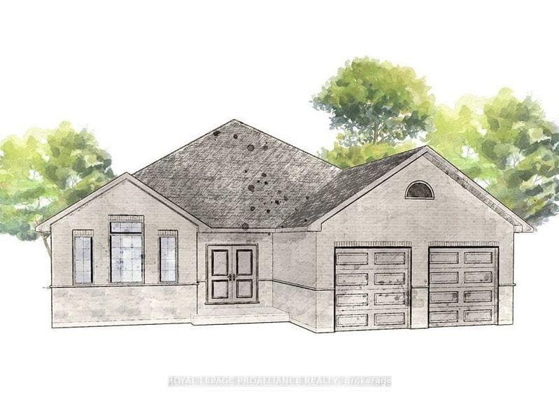Basswood Model