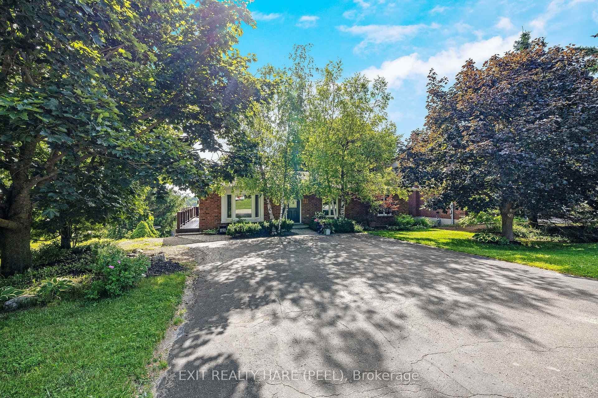 85 Leeson Street photo 2