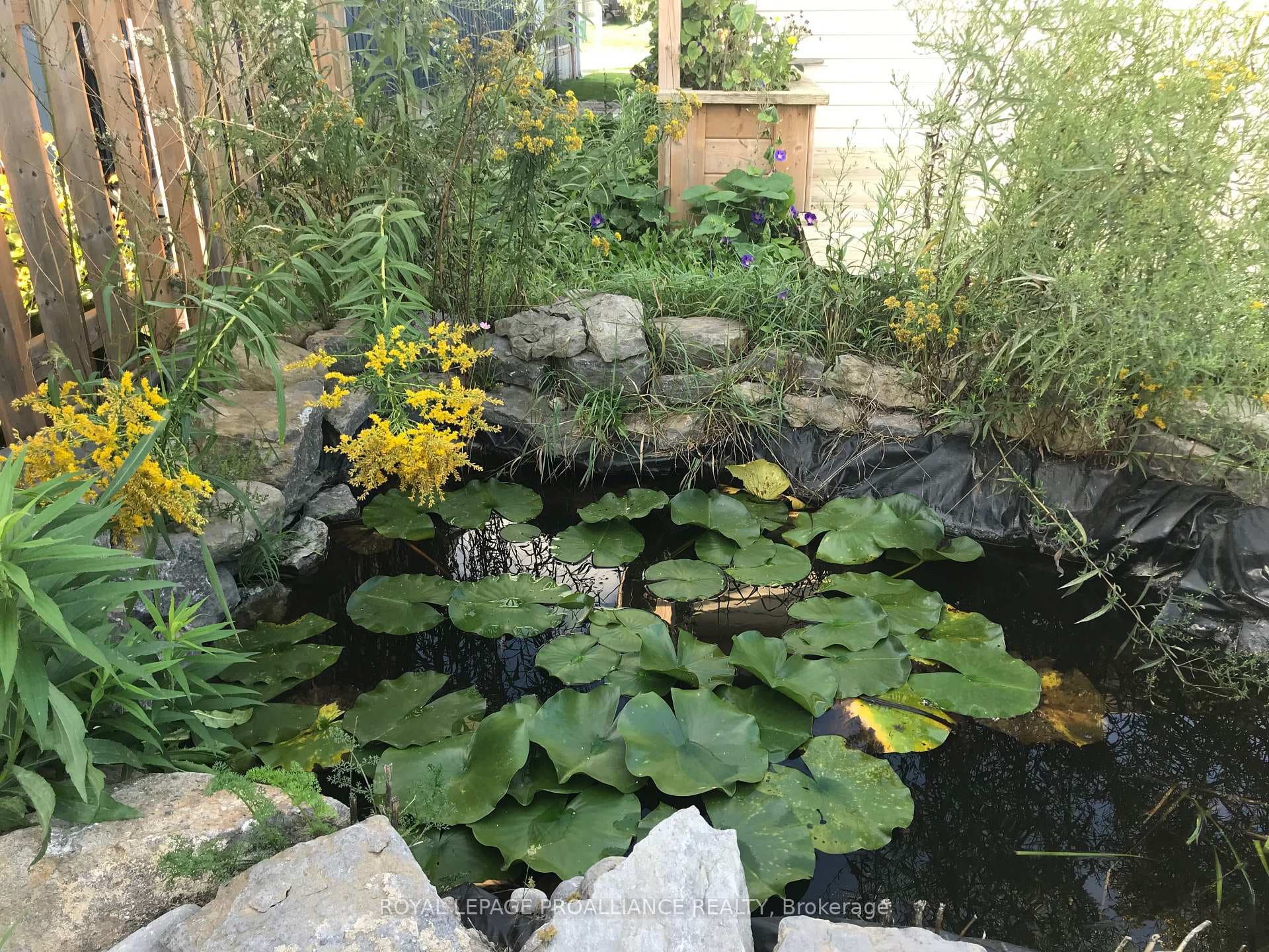54 Jasper Avenue photo 6