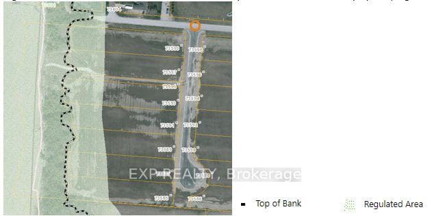 5 Irene Crescent photo 9