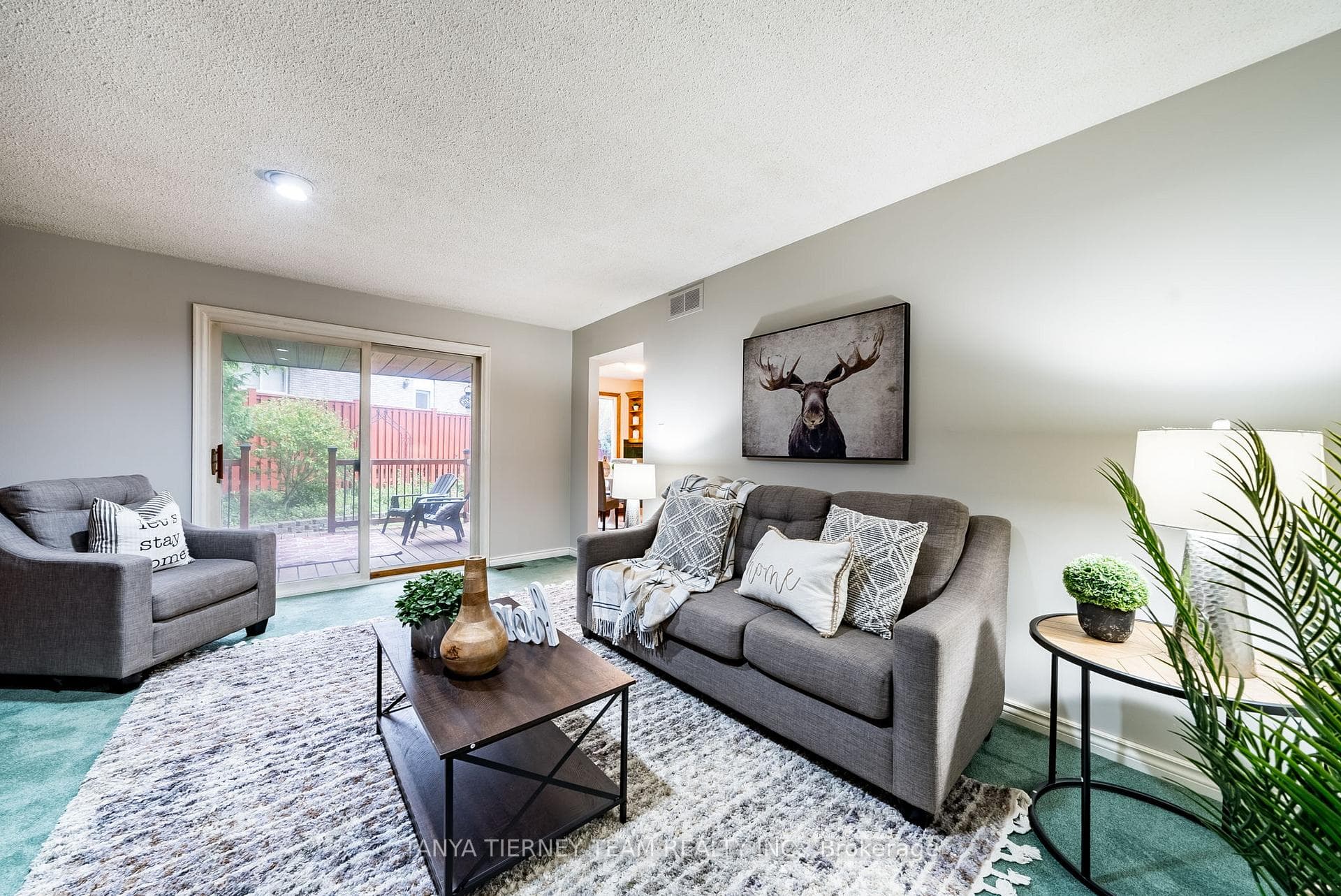 167 Woodlane Court photo 19