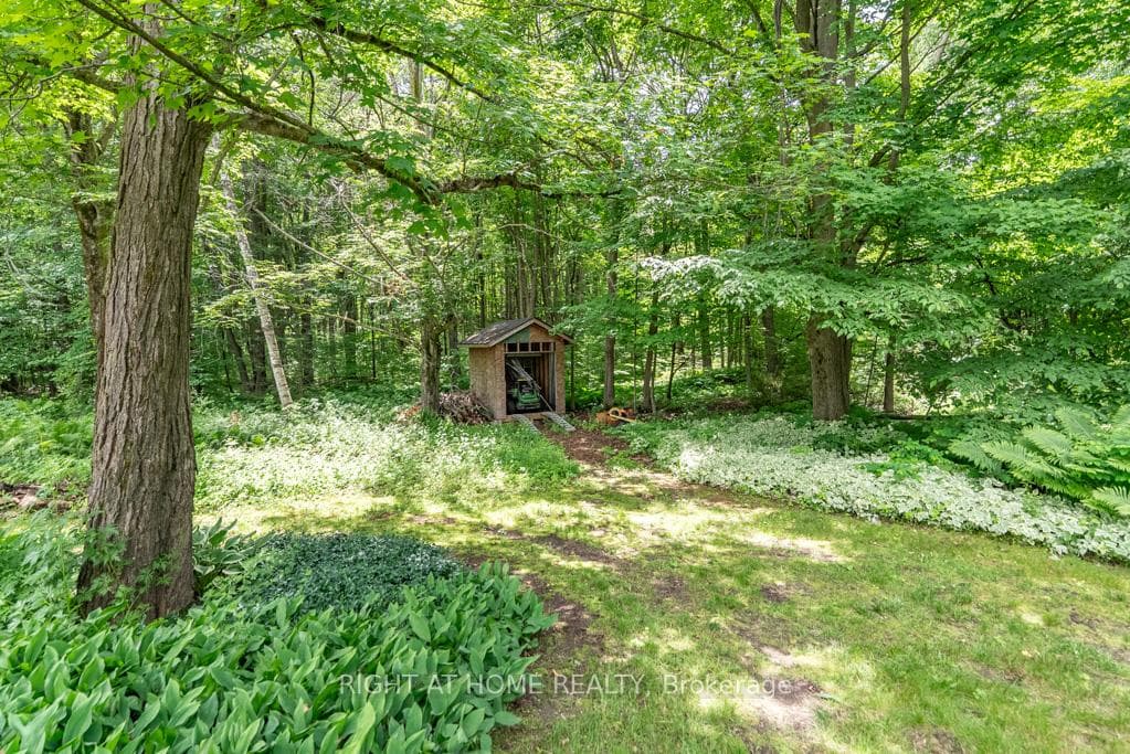16 Snowberry Court photo 46