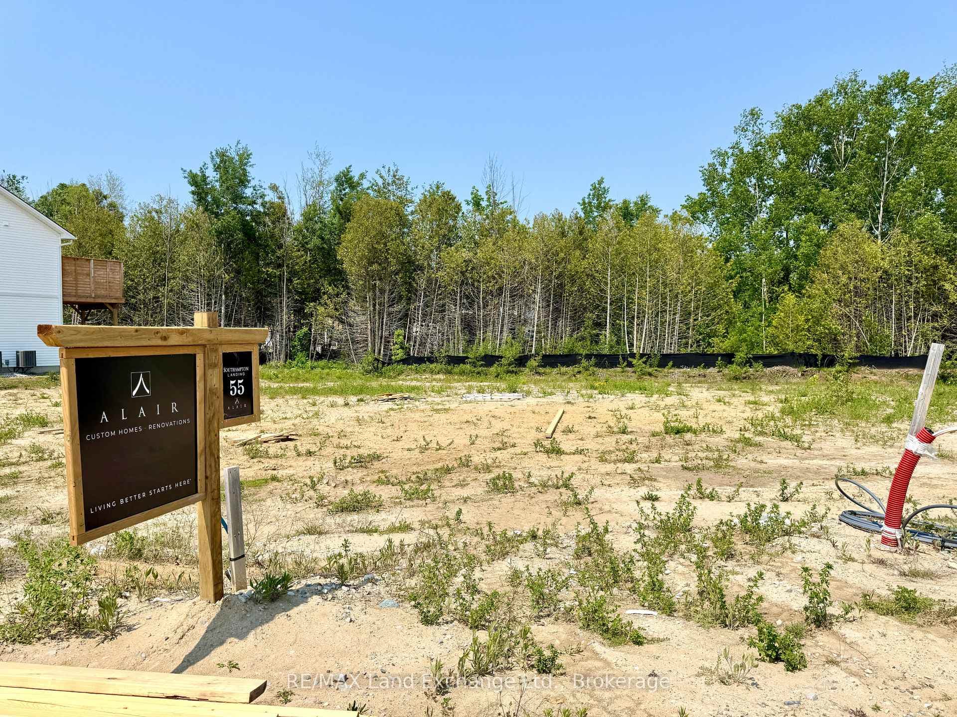 Lot 55