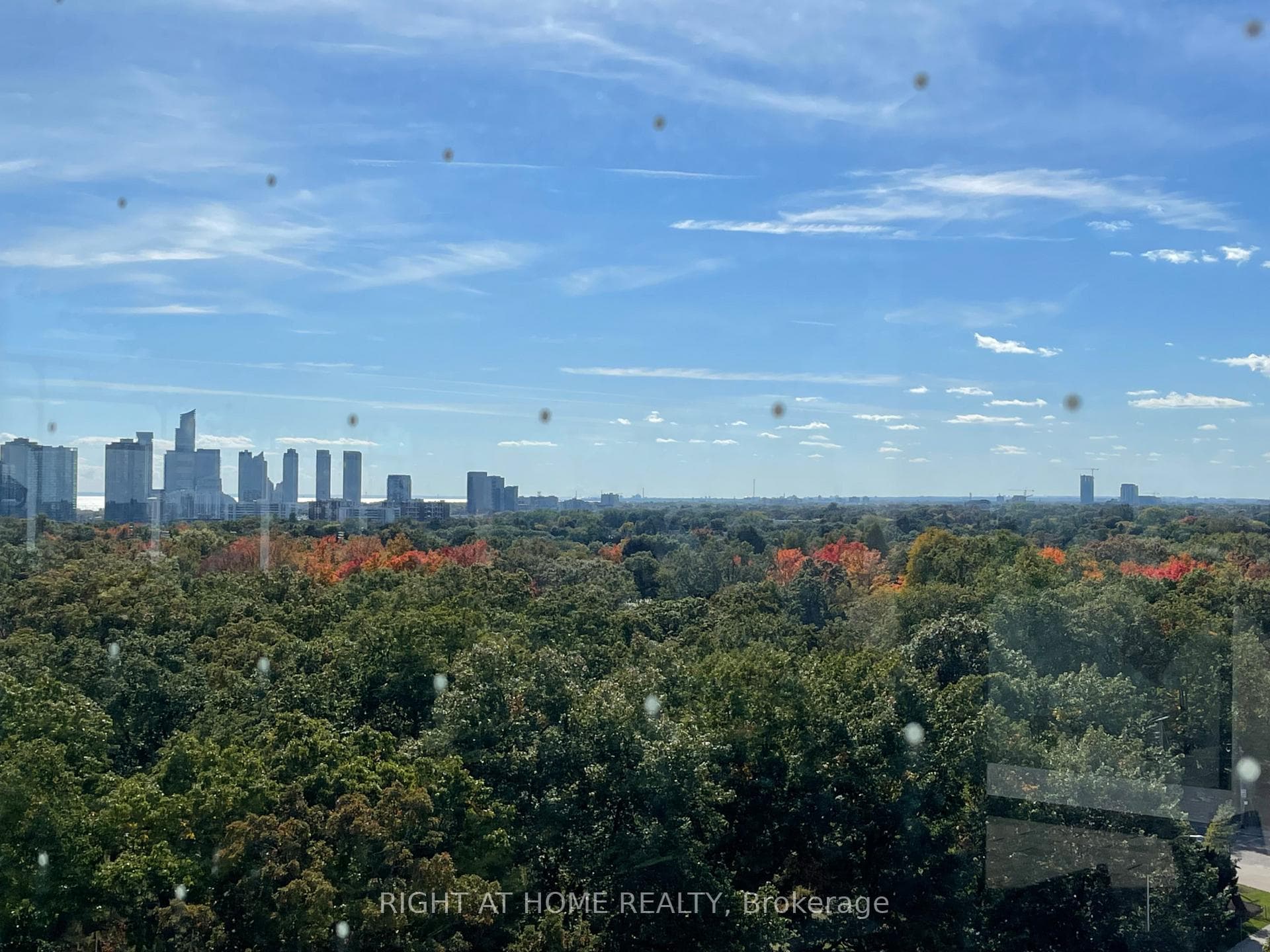 View of City and Park