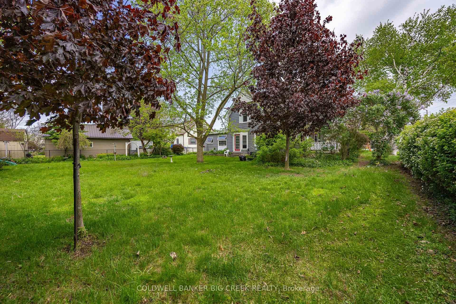 220 Queen Street photo 7
