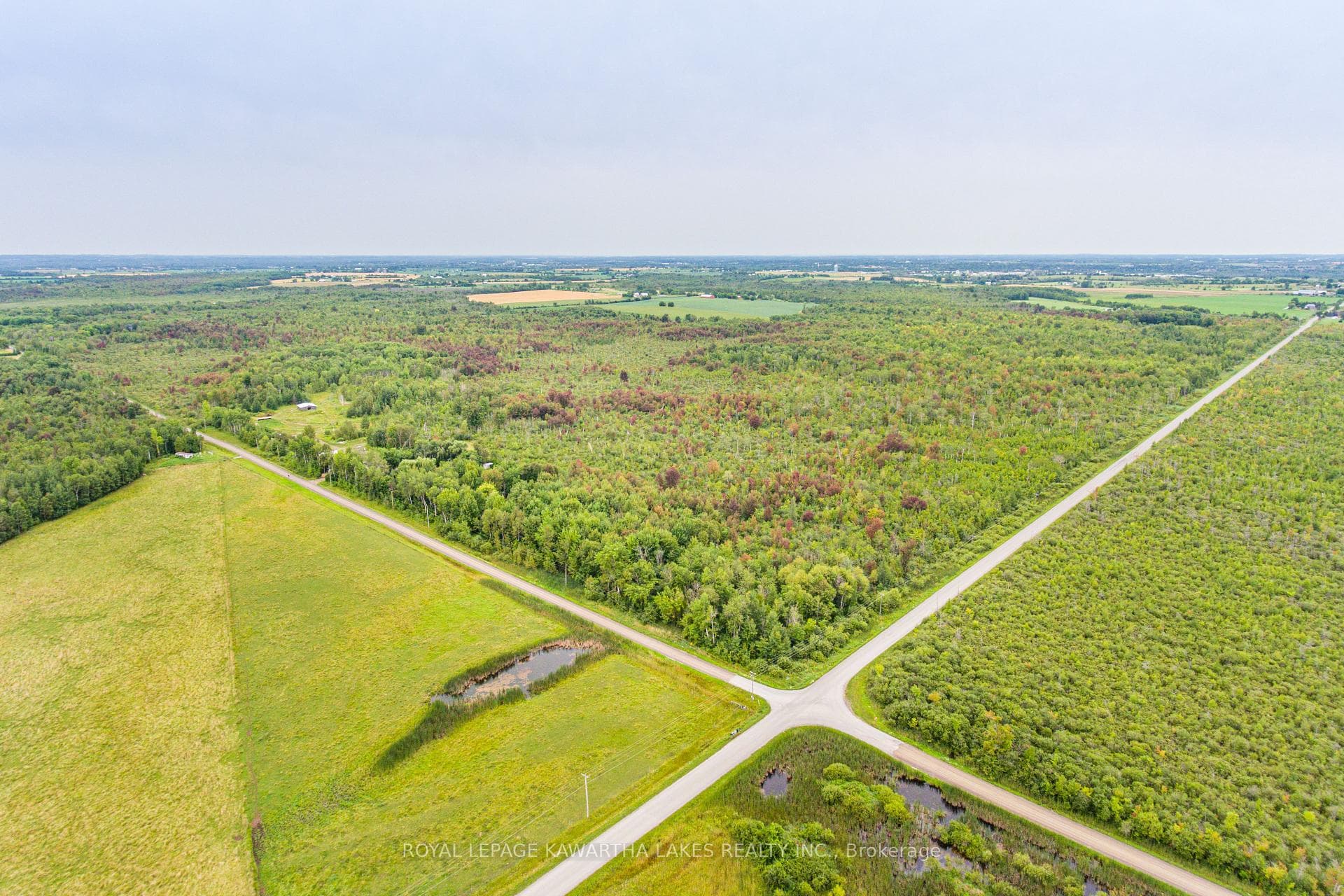 917 Settlers Road photo 25