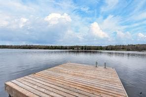91 Gibson Bay Road photo 50