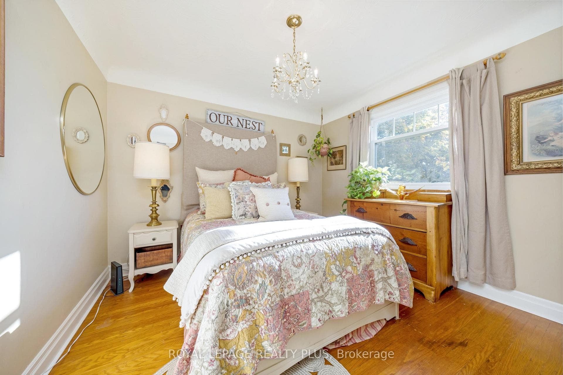 62 Nelson Court photo 20