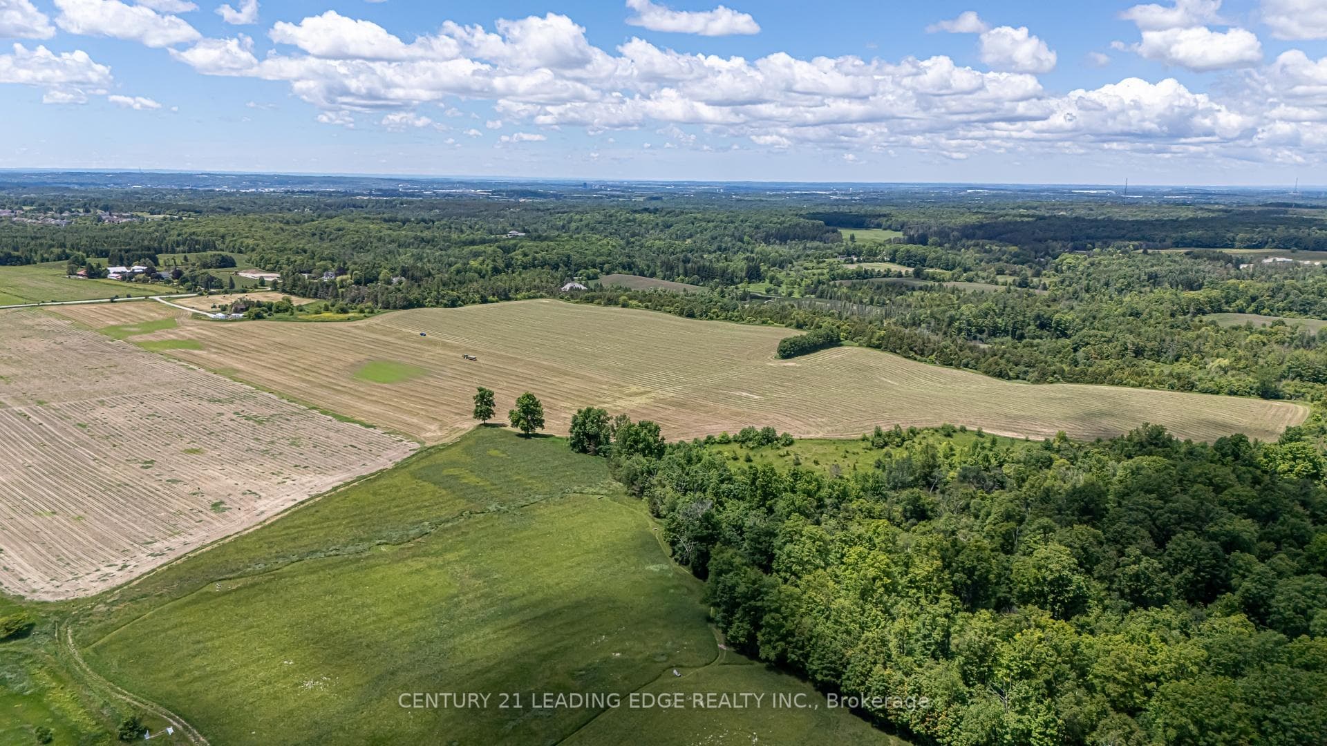 14093 Kennedy Road photo 10