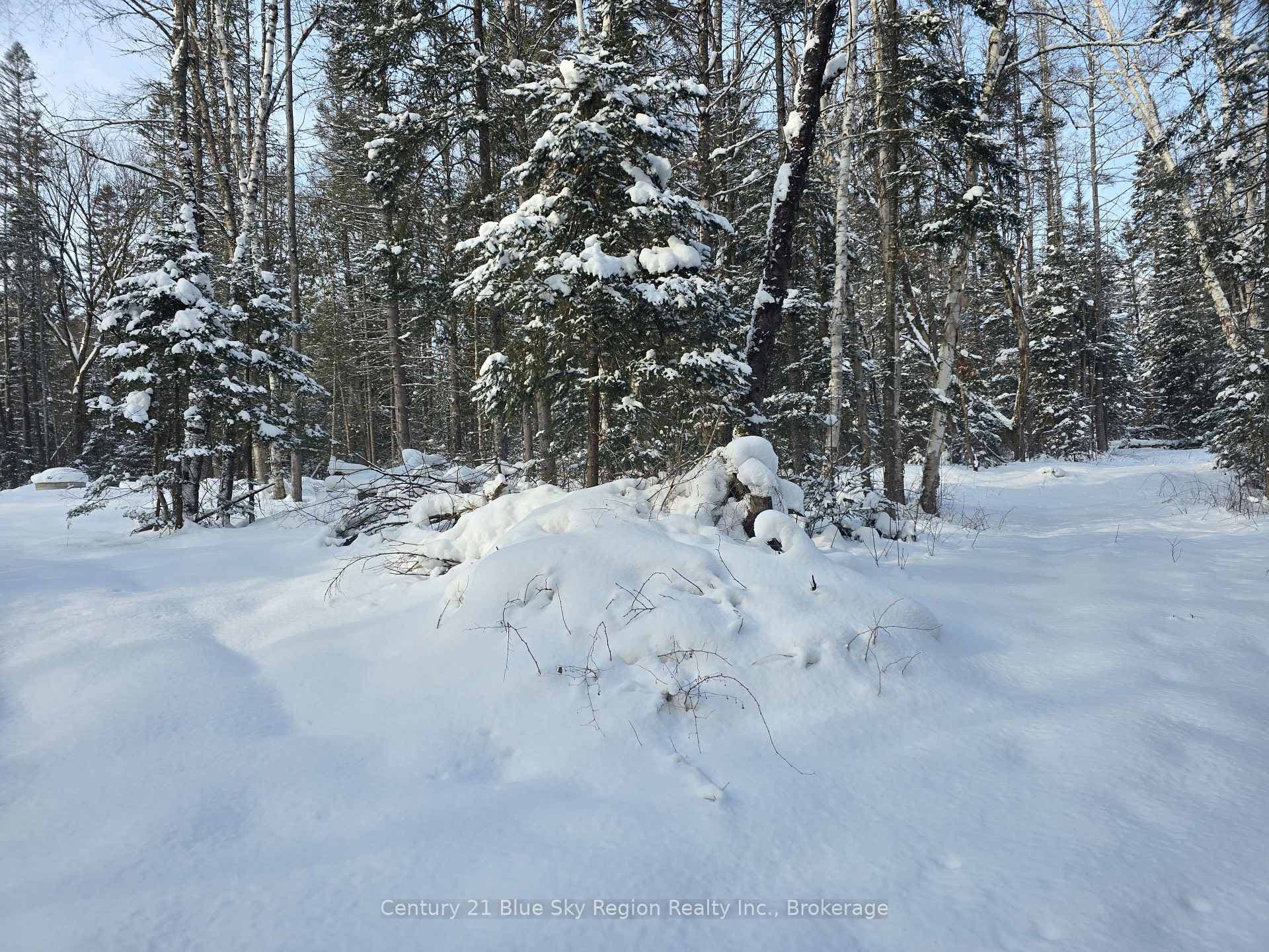 1866 Highway 124 N/A photo 36