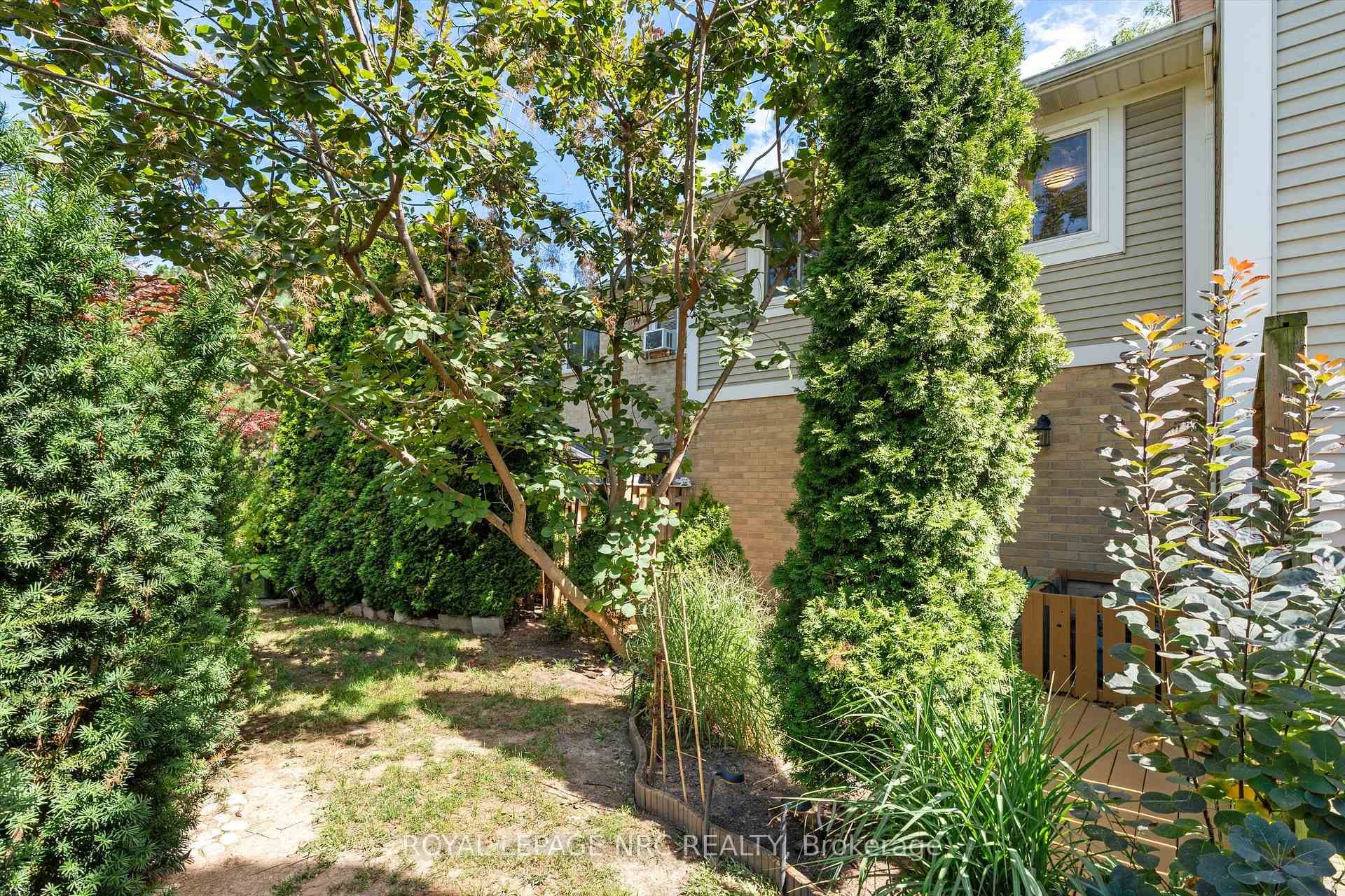 38 Elma Street Unit 9 photo 33