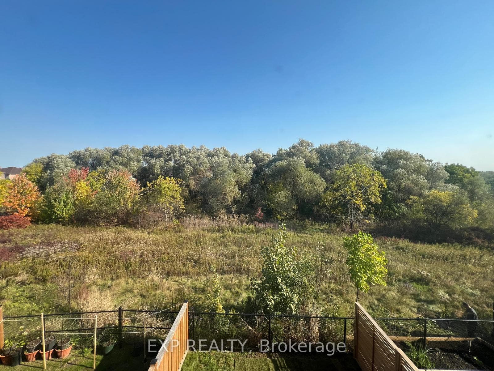 749 Elsley Court photo 21