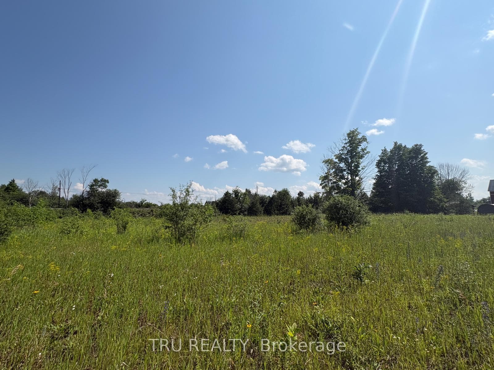 394 Scotch Line Road photo 14