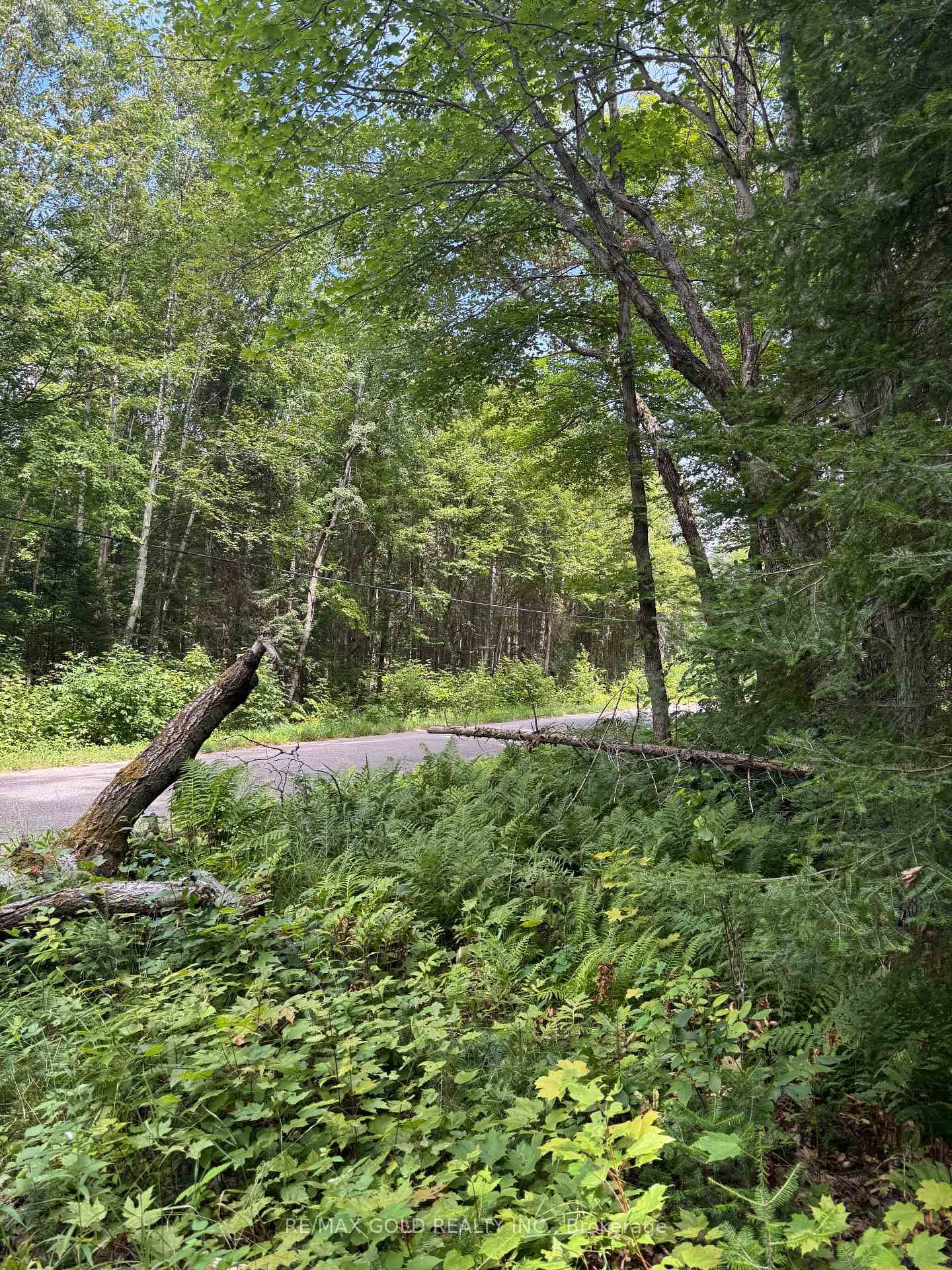 1791 Alsace Road photo 22