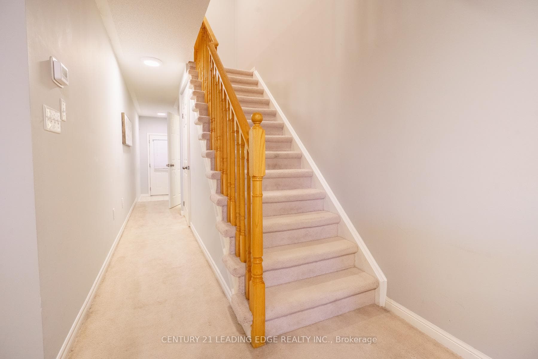 11 Connell Lane photo 12
