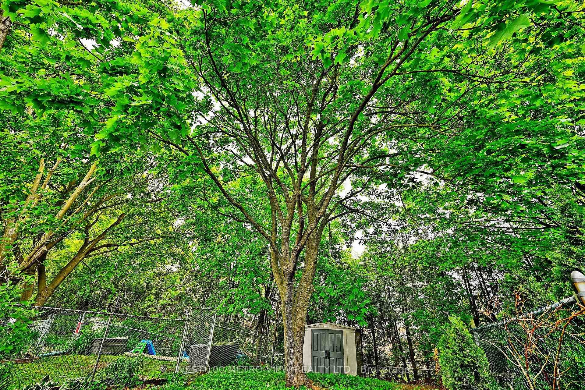139 John Street photo 39