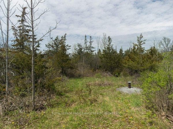 1685 Sunnyside Road photo 5