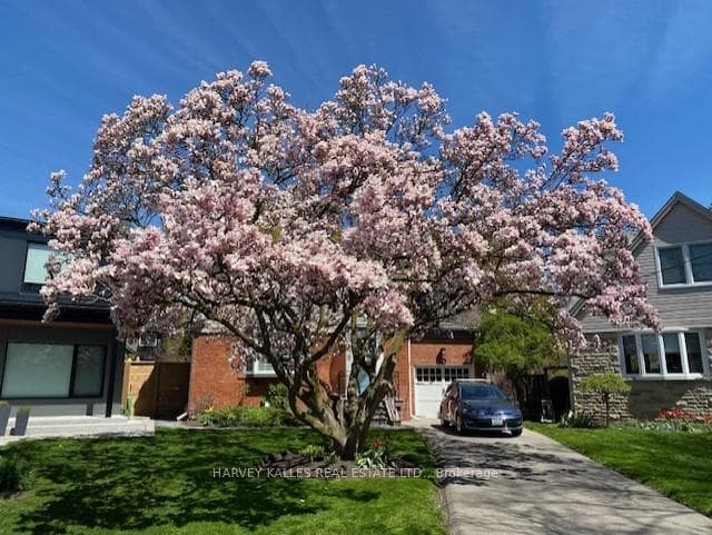 10 Clueson Park photo 2