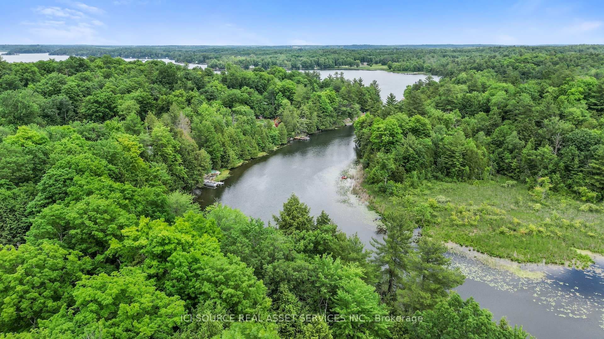 923 White Birch Lane photo 4