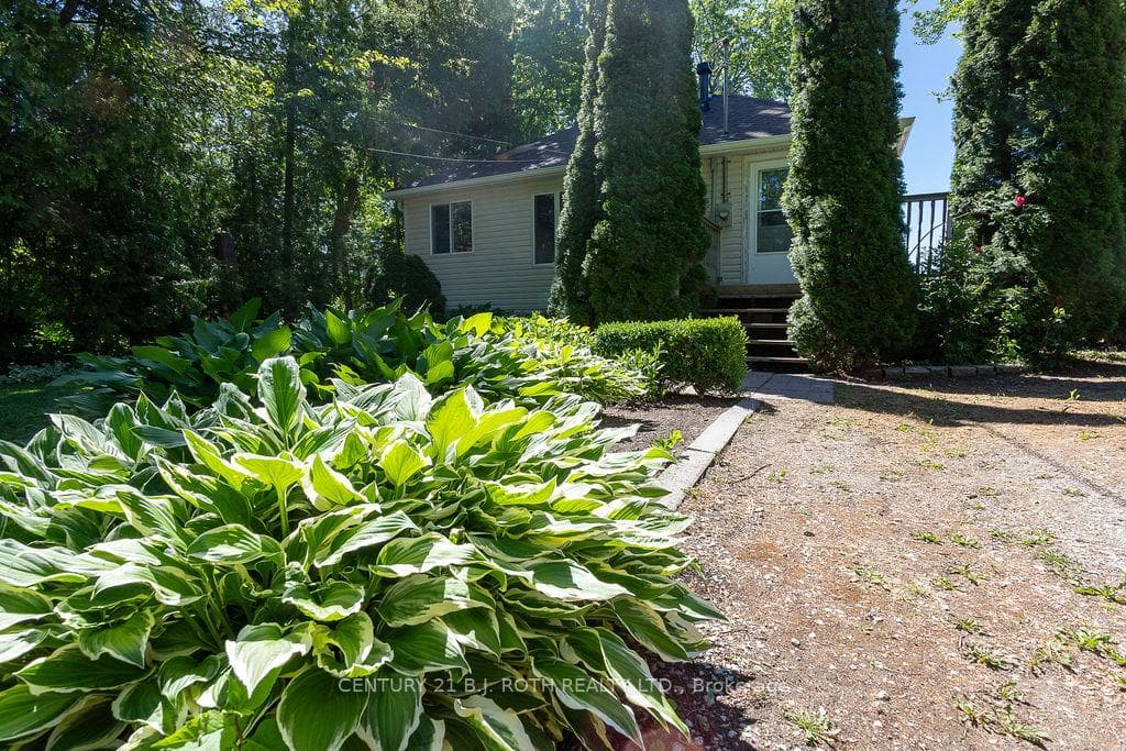 2389 Crystal Beach Road photo 40