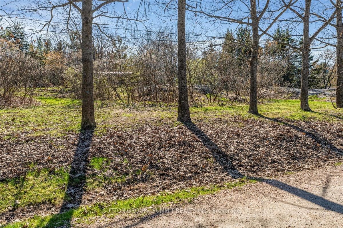 49 PINERIDGE Drive photo 10