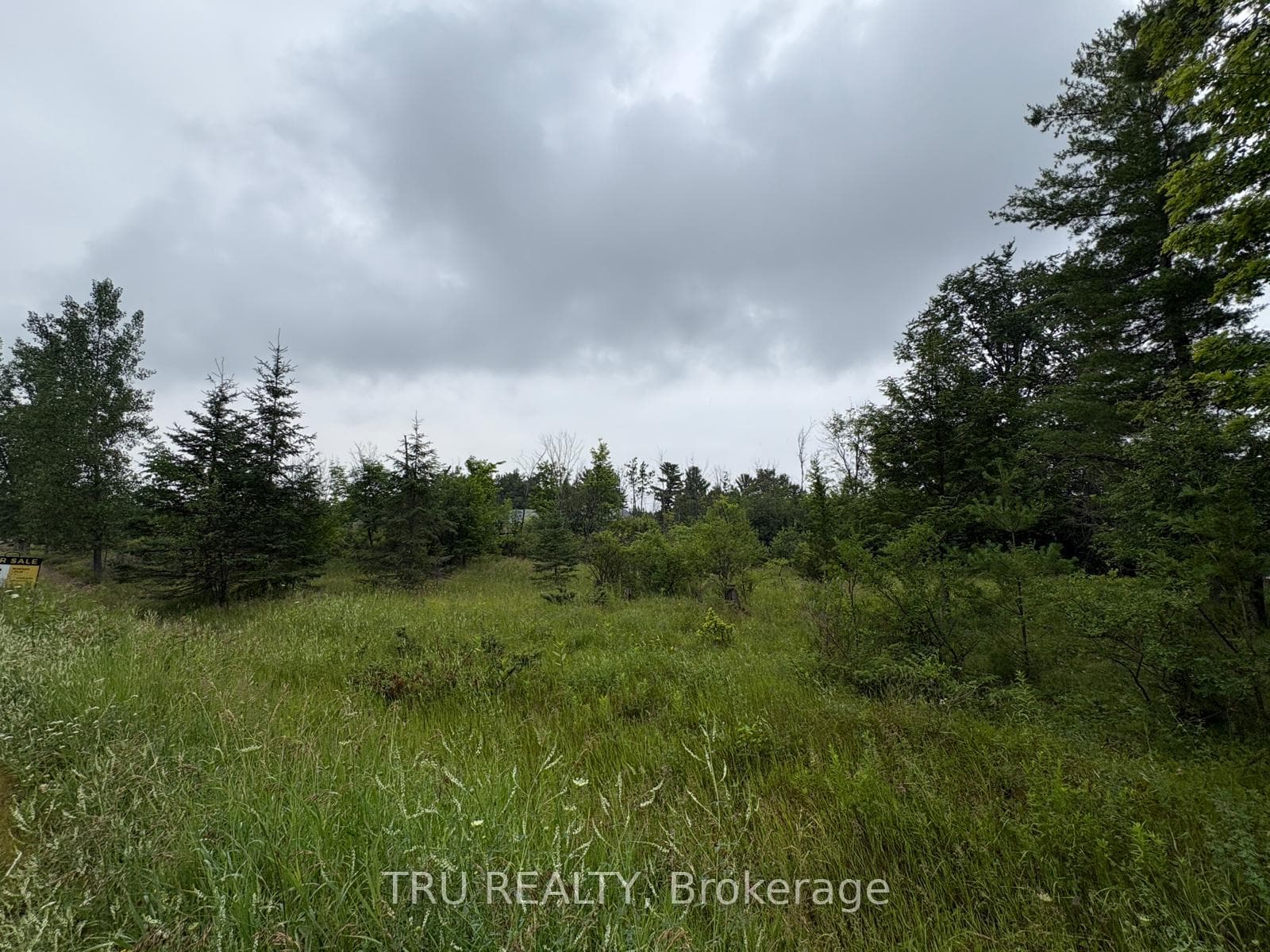 3024 Stoneridge Road photo 18