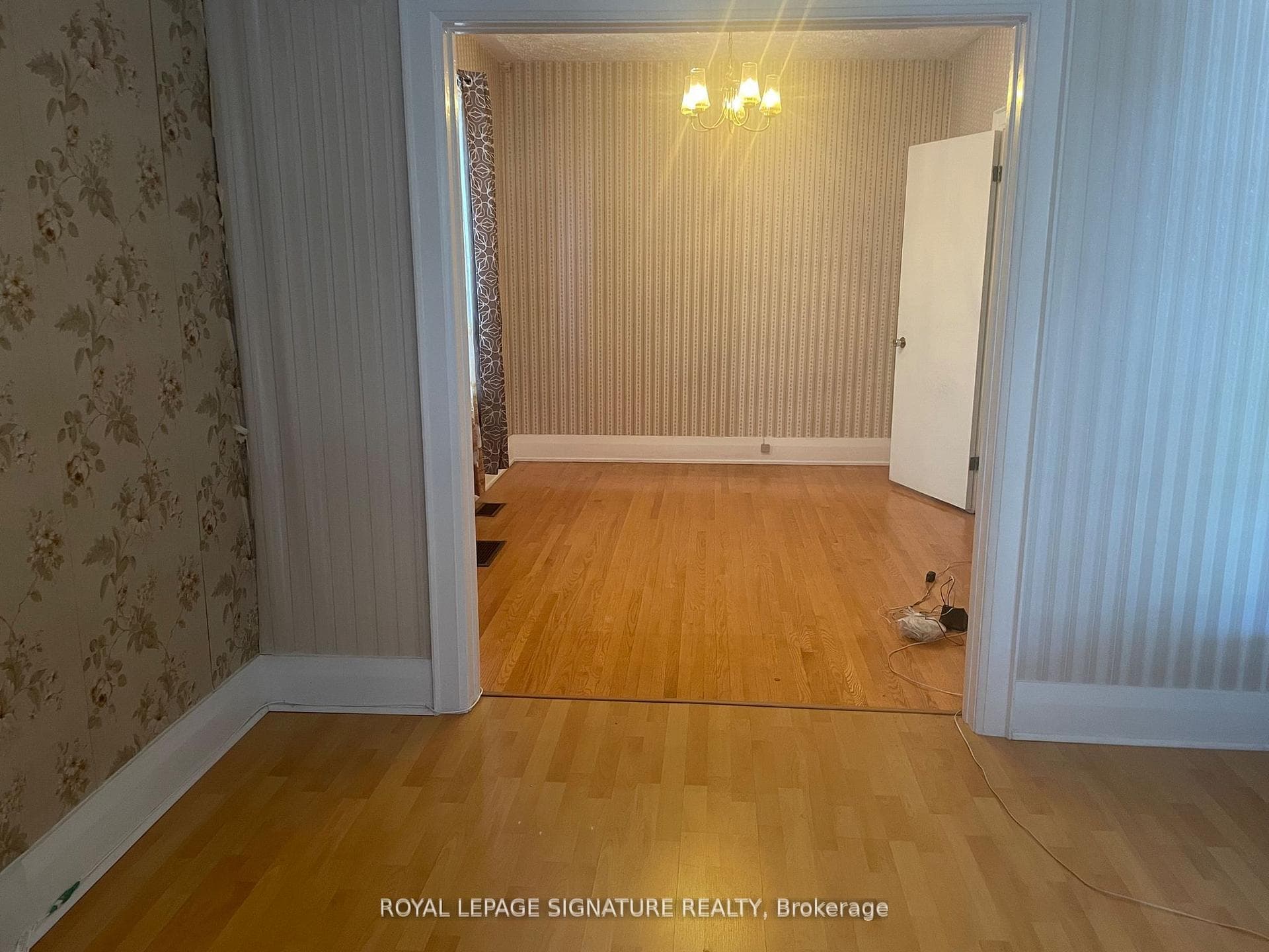 61 Belvidere Avenue photo 25