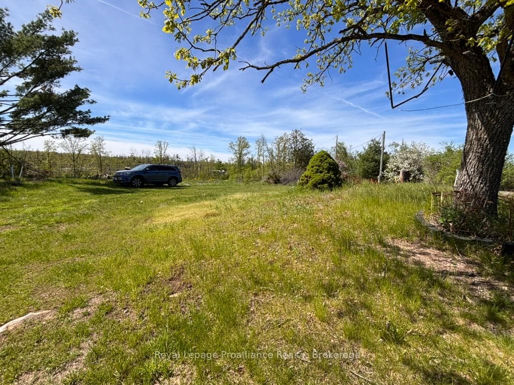 39B Varty Road photo 43