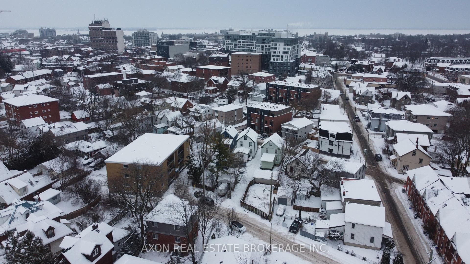 41 Linton Street photo 34
