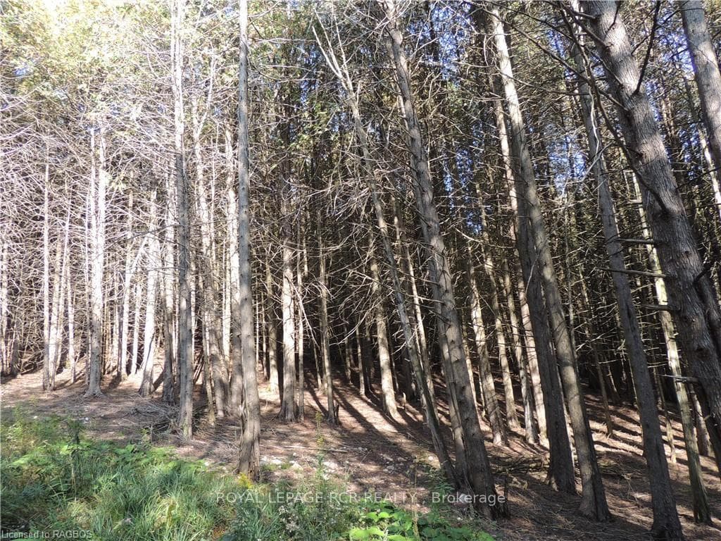 384551 CONCESSION 4 N/A photo 9
